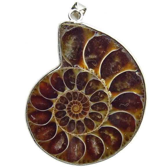 Ammonite Pendant 40x25mm