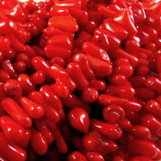 Red Coral Capellini 3x10mm