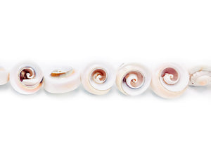 Shell Beads 16-20mm