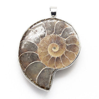 Ammonite Pendant Upside-Down 40x25mm