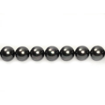 Shell Pearl Round Beads - Black