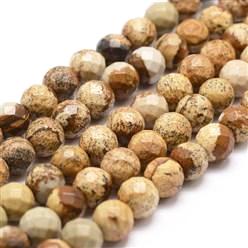 Picture Jasper Faceted Round 6mm